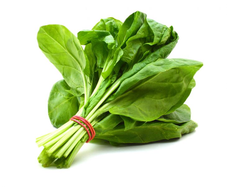 Food to eat for living more - spinach