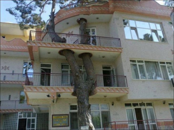 Et tre vokser gjennom balkonger