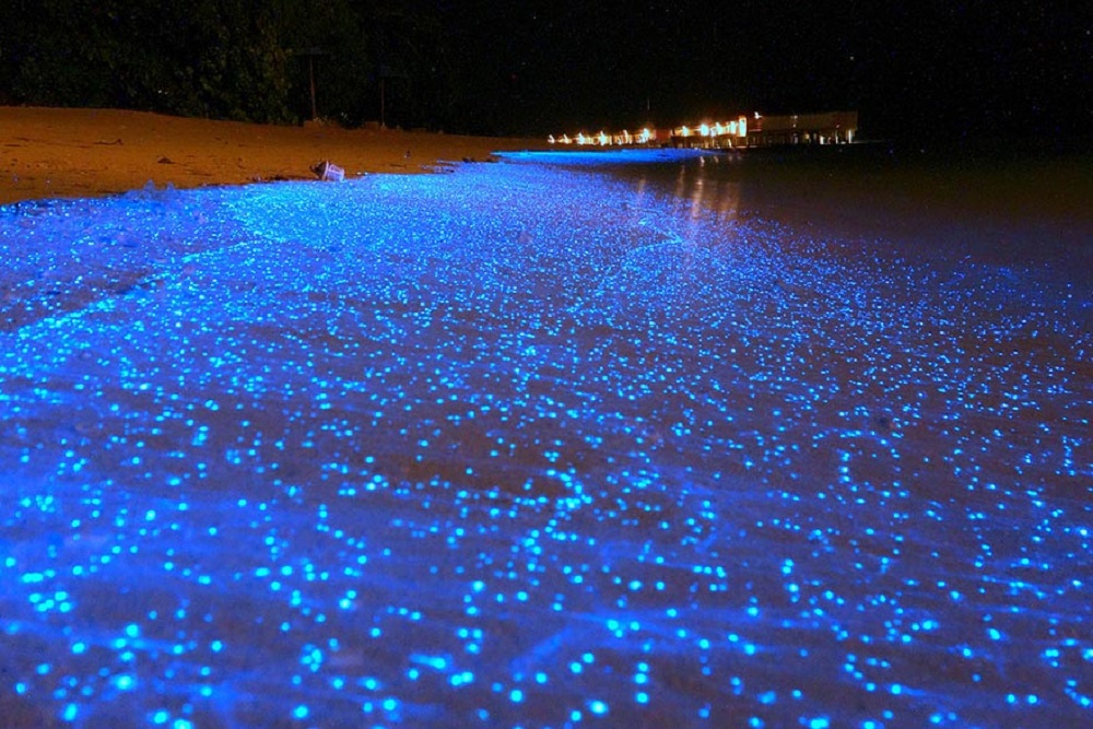 Svjetleća plaža na Maldivima