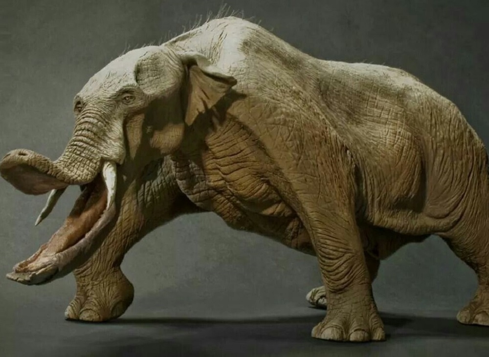 Platybelodon – den konstigaste förhistoriska elefanten