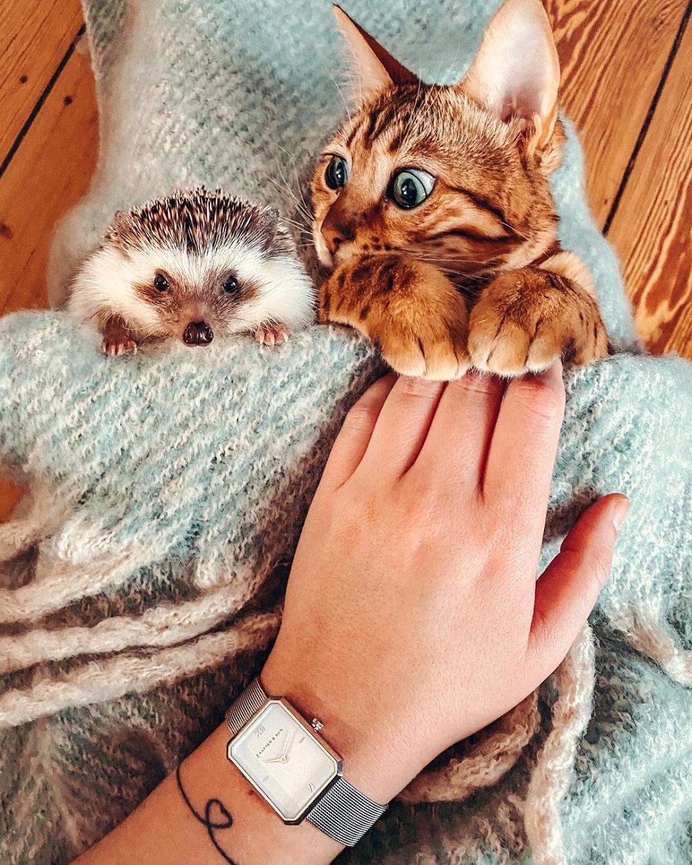 Cozy friendship