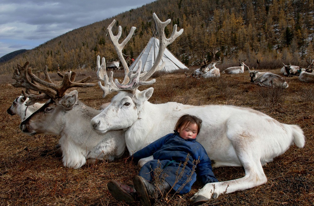 Sleeping on reindeers