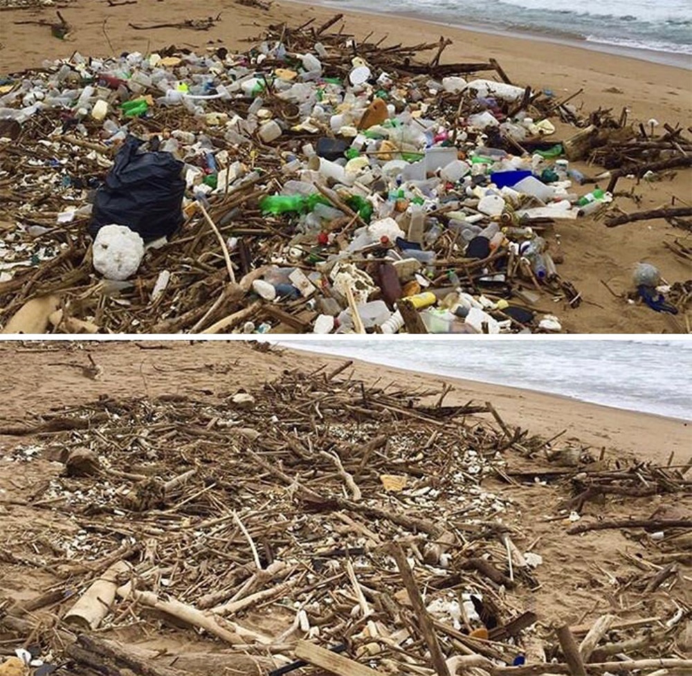 Lixo removido da praia