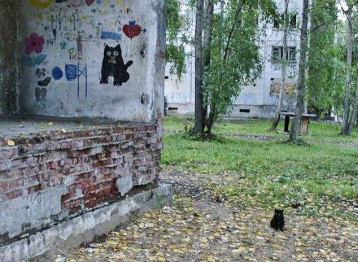svart katt och hans porträtt
