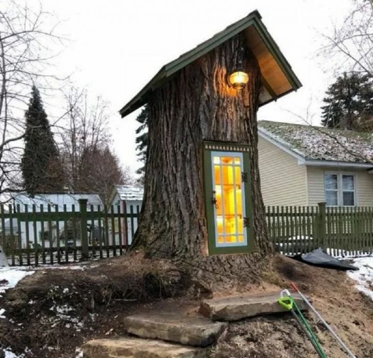 Library in the tree
