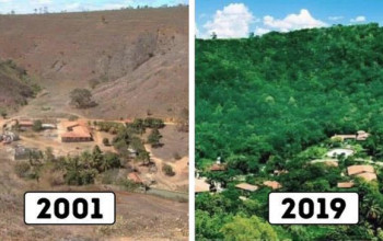 Ένα ζευγάρι στη Βραζιλία αφιέρωσε 20 χρόνια για να φυτέψει ένα ολόκληρο δάσος, το οποίο θα αποτελούσε ξανά ένα καταφύγιο για χιλιάδες άγρια ζώα.