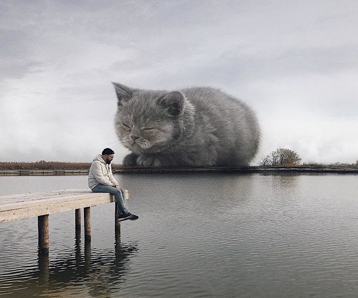 Enorme gato e homem perto da água