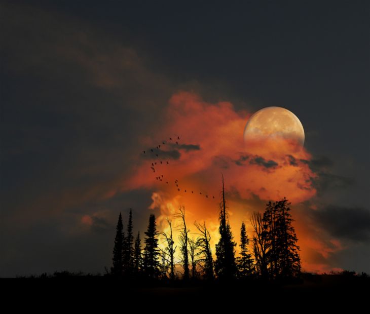 foc în pădure și lună