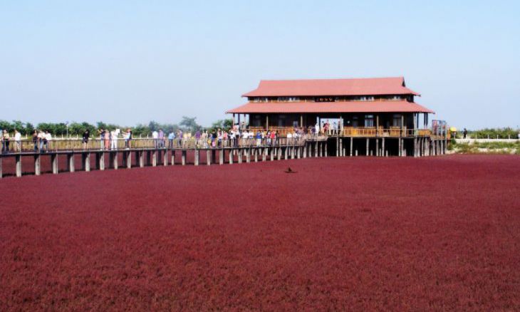 La Playa roja de Panjin, Panjin, China