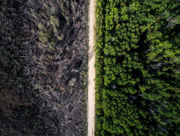 De weg die een brand heeft gestopt