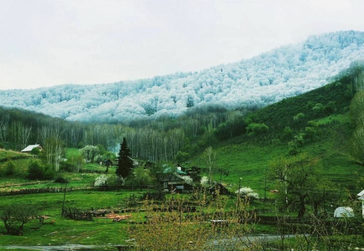 Lumisadetta Altain vuoristossa