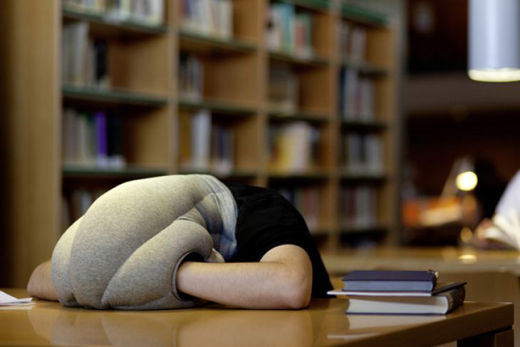 Library pillow