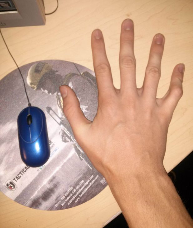 Mouse de computador pequeno