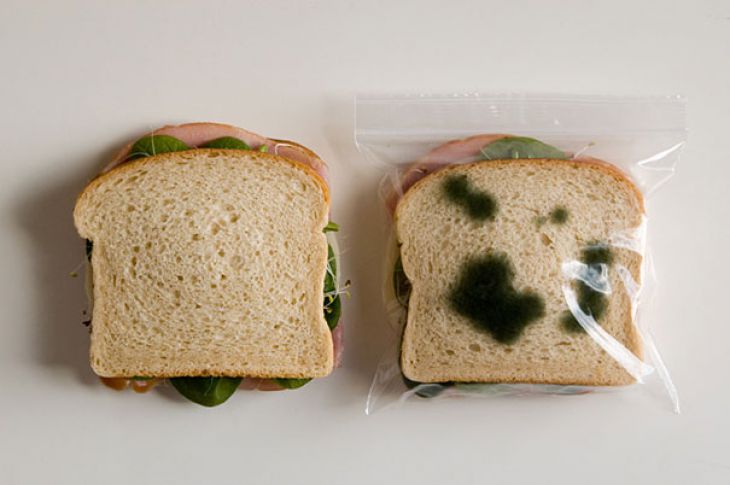 Office lunch pack