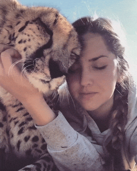 Menina e leopardo