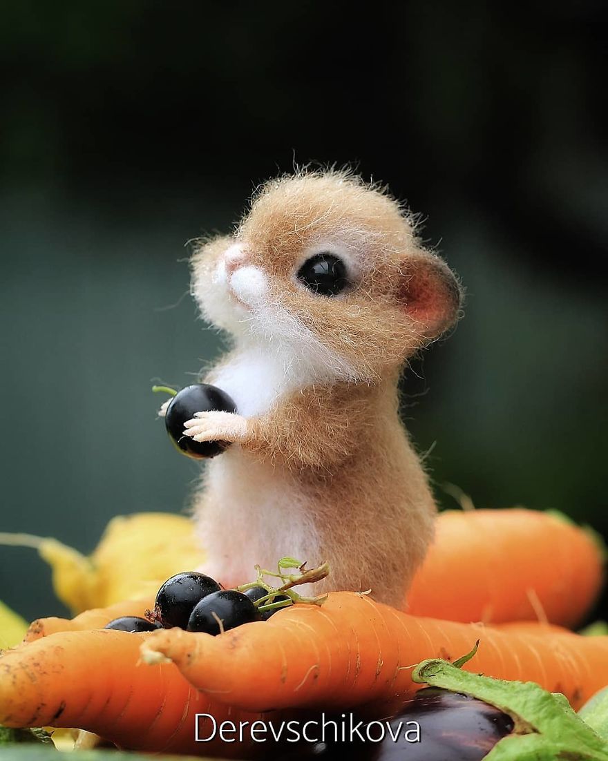 Pequeno hamster