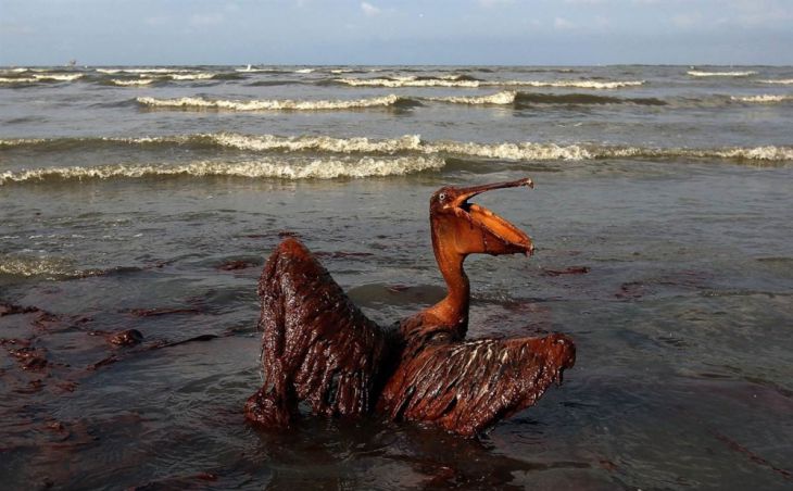 Oil Spill at Deepwater Horizon