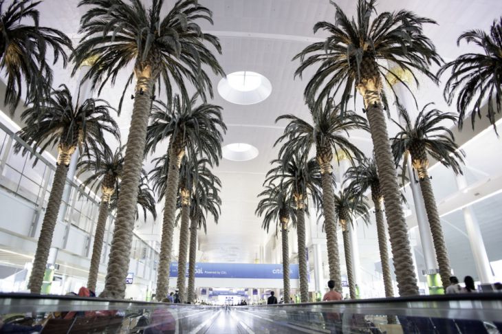 Palmeiras dentro do Aeroporto Internacional de Dubai