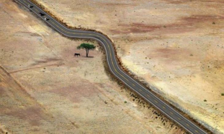 A estrada contorna uma árvore