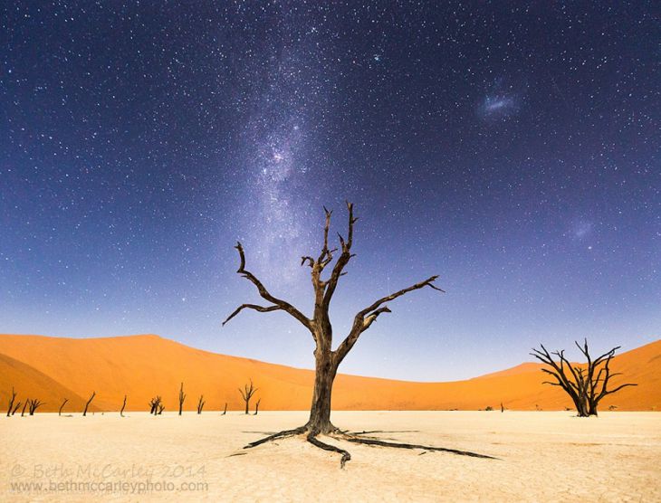 Typical desert picture in Namib