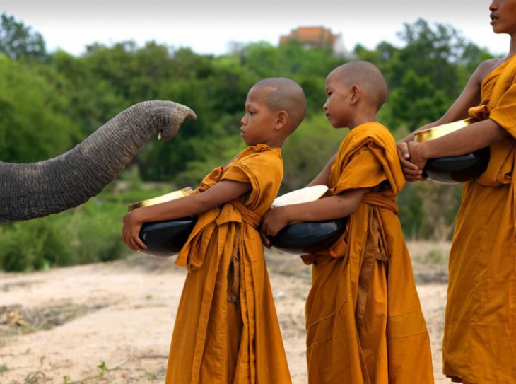 elefant și călugări