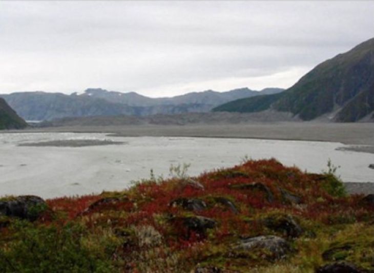 Lodowiec Carroll, Alaska. Wrzesień, 2003