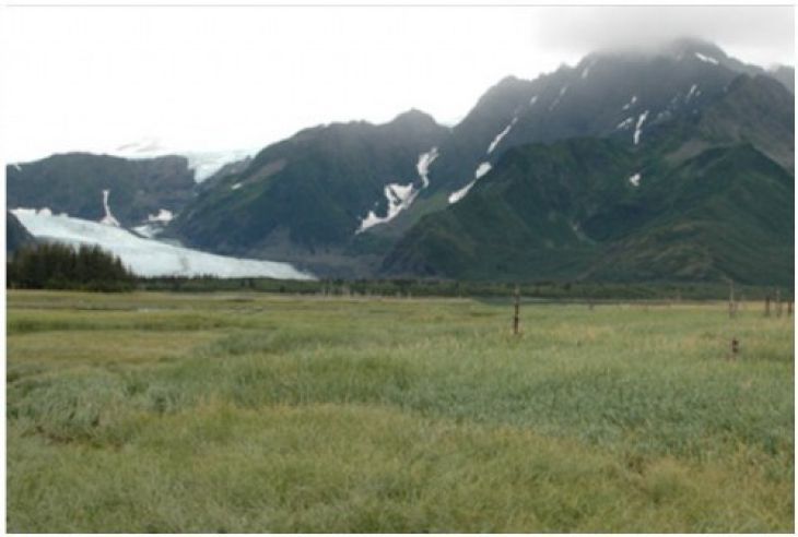 campo verde em vez de geleira, Alasca