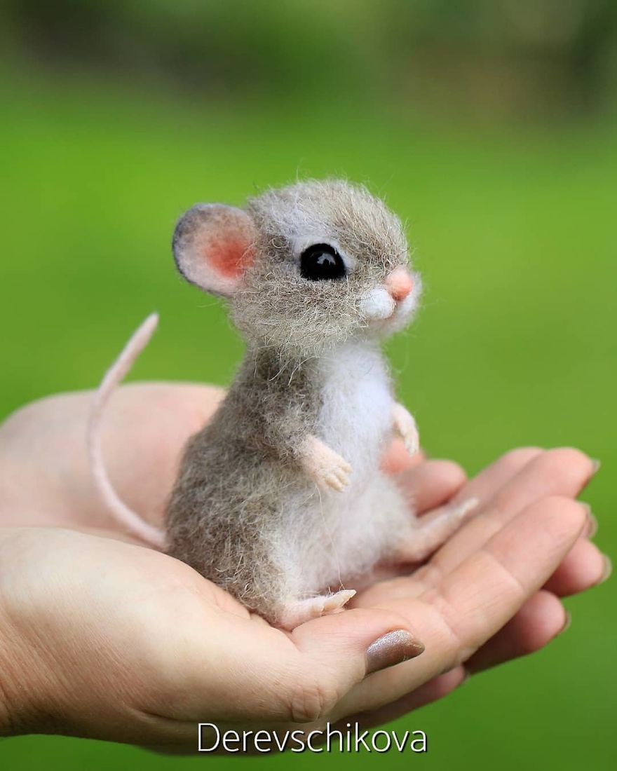 Μικρό ποντίκι