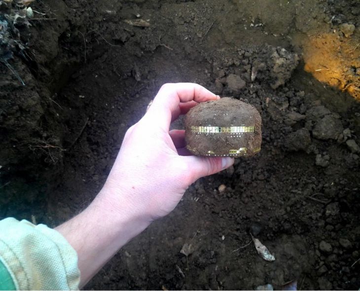 Homem encontrou um tesouro na floresta