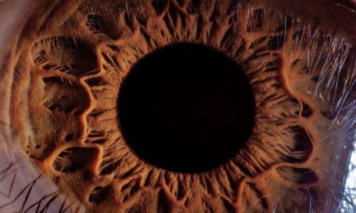 Vista aproximada de um olho humano, Armênia