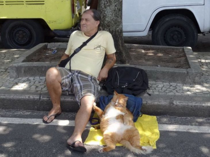 The cat and the owner are resting on the street