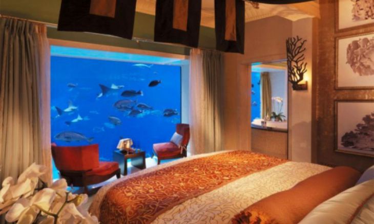 Te poți caza la un hotel cu un perete-acvariu.