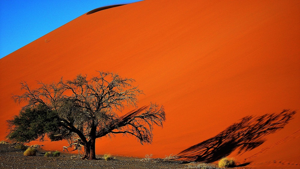 나미비아 나미브 사막