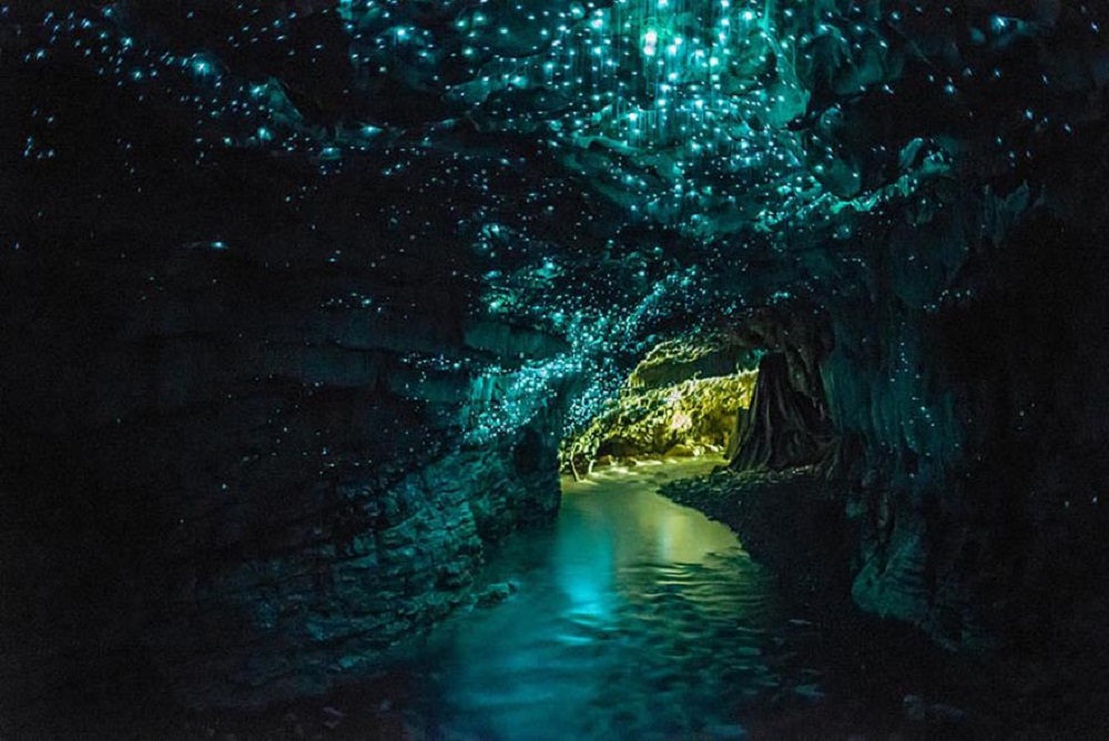 뉴질랜드 글로우웜 동굴