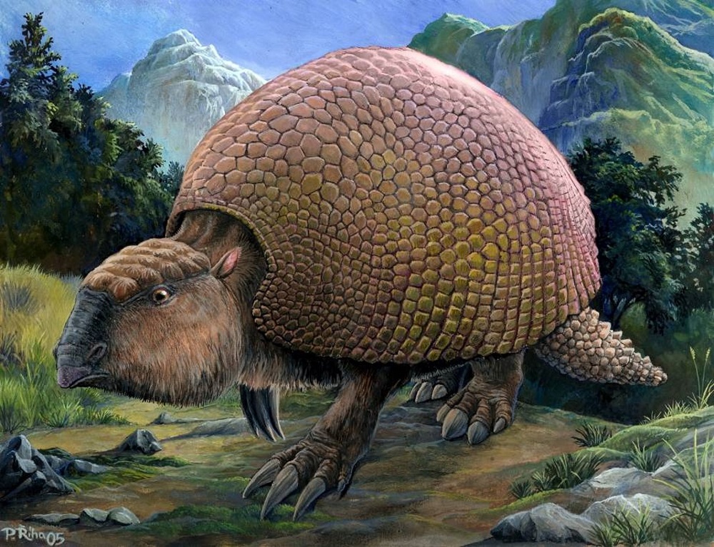 Glyptodon – Pansarvagnen från perioden Miocen