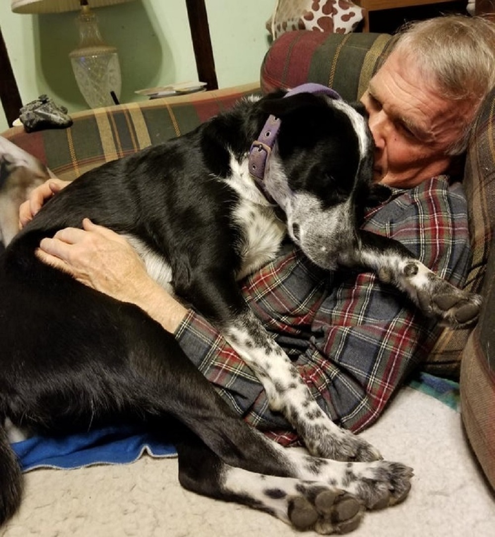 De hond ligt bij een oude man