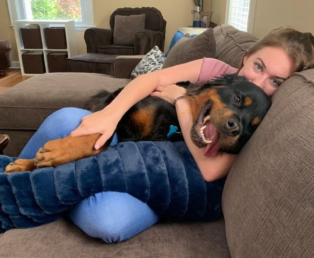 Cão e amante estão descansando no sofá