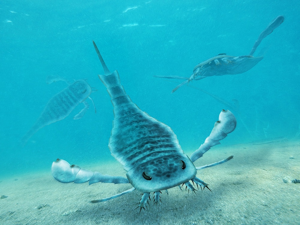 Euriptéridos - Escorpiões do mar