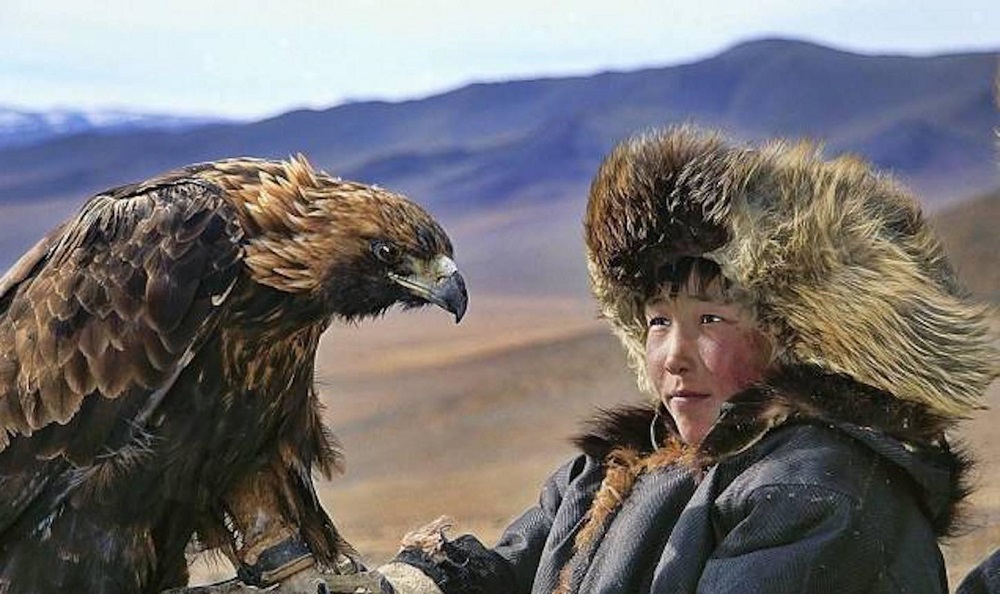 Hunting with eagle