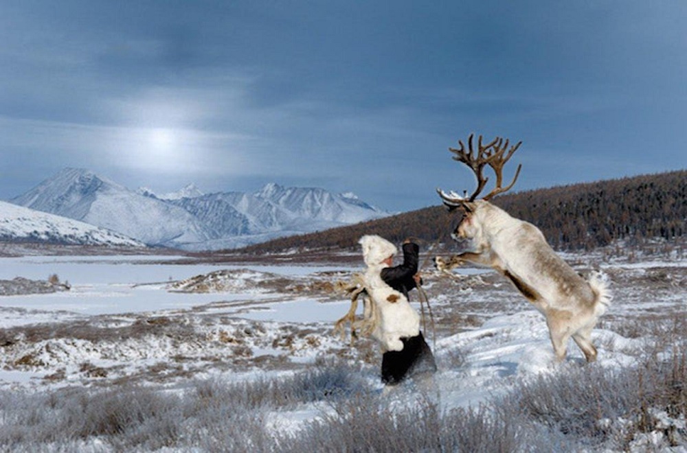 Addestrando una renna