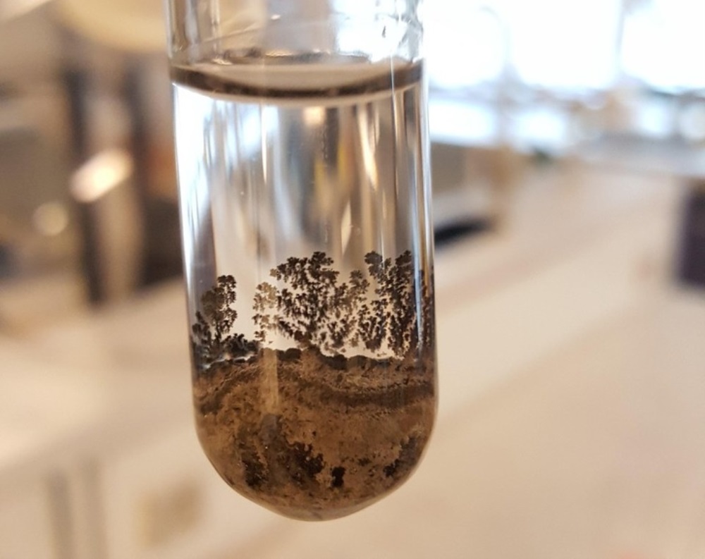 El sedimento de esta reacción química parece un bosque pantanoso