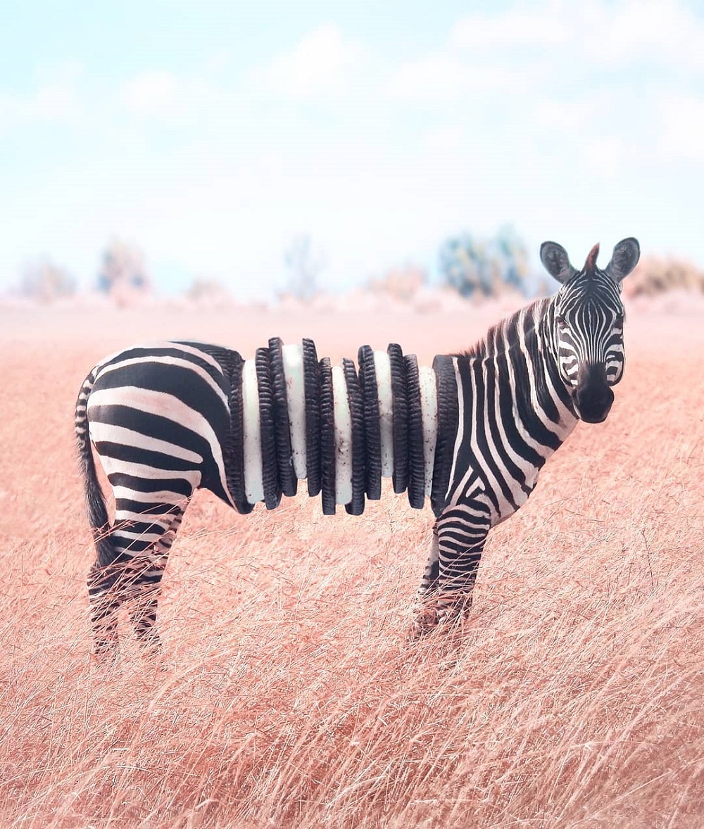 Zebra de bolachas oreo