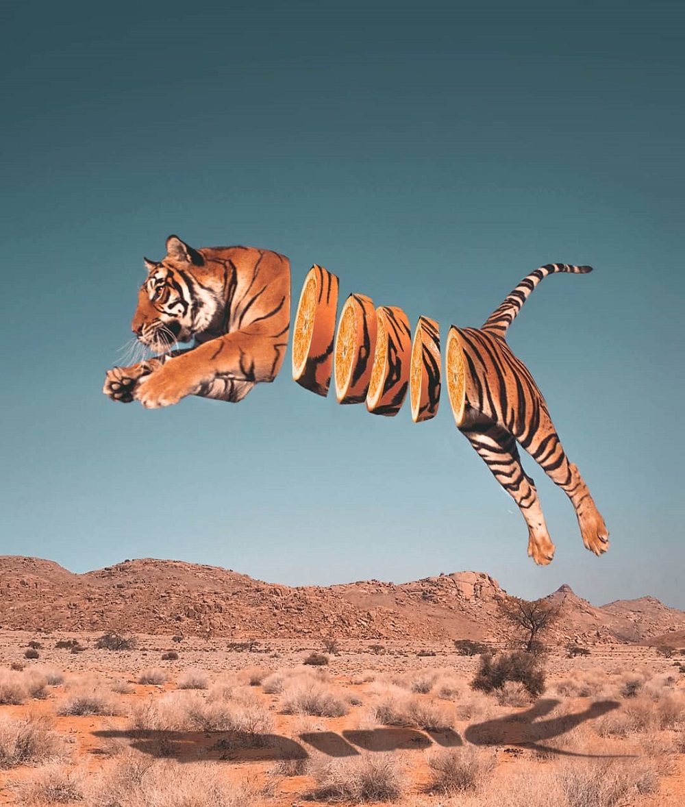 Le tigre devient une orange