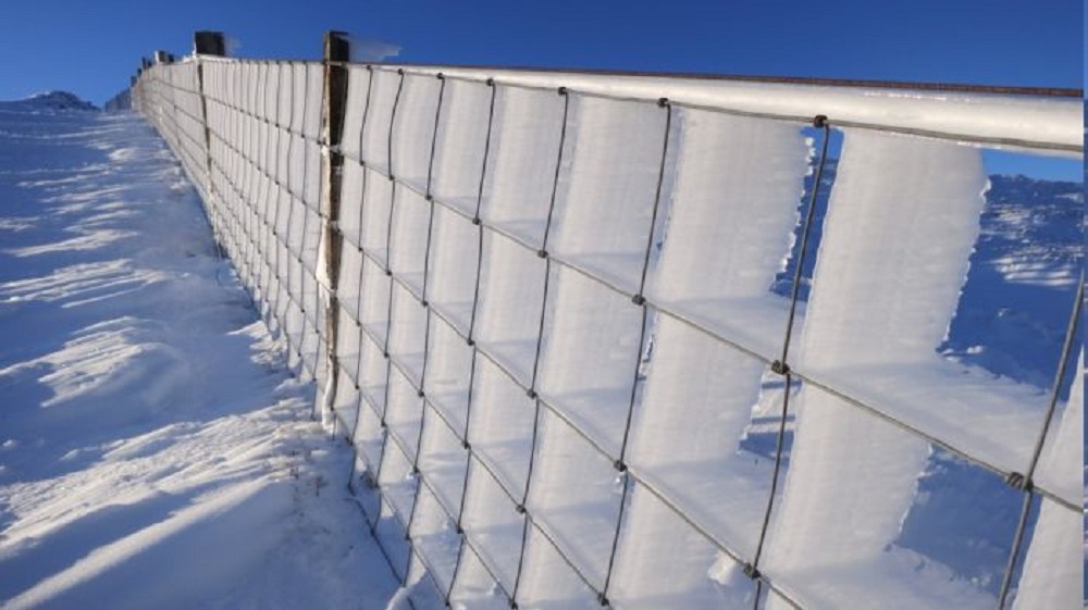 Αυτός ο φράχτης πάγωσε το χειμώνα- απίστευτο σχέδιο