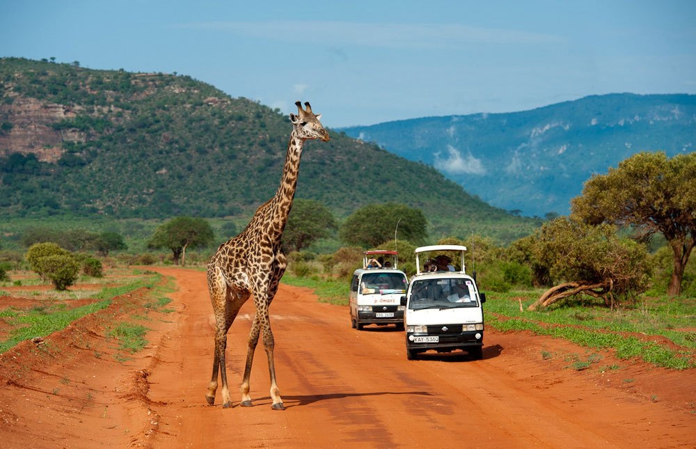 Το Ανατολικό Τσάβο στο Εθνικό Πάρκο Της Κένυας