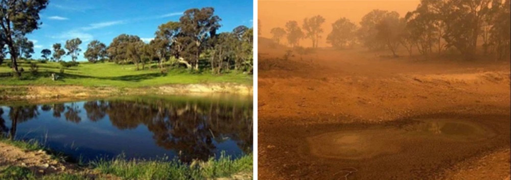Wildlife Sanctuary w Canberze,  przed i po pożarze