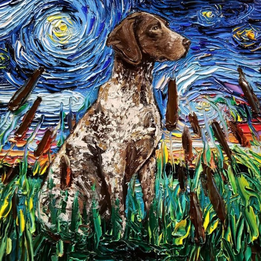 Cão de caça olha para as estrelas