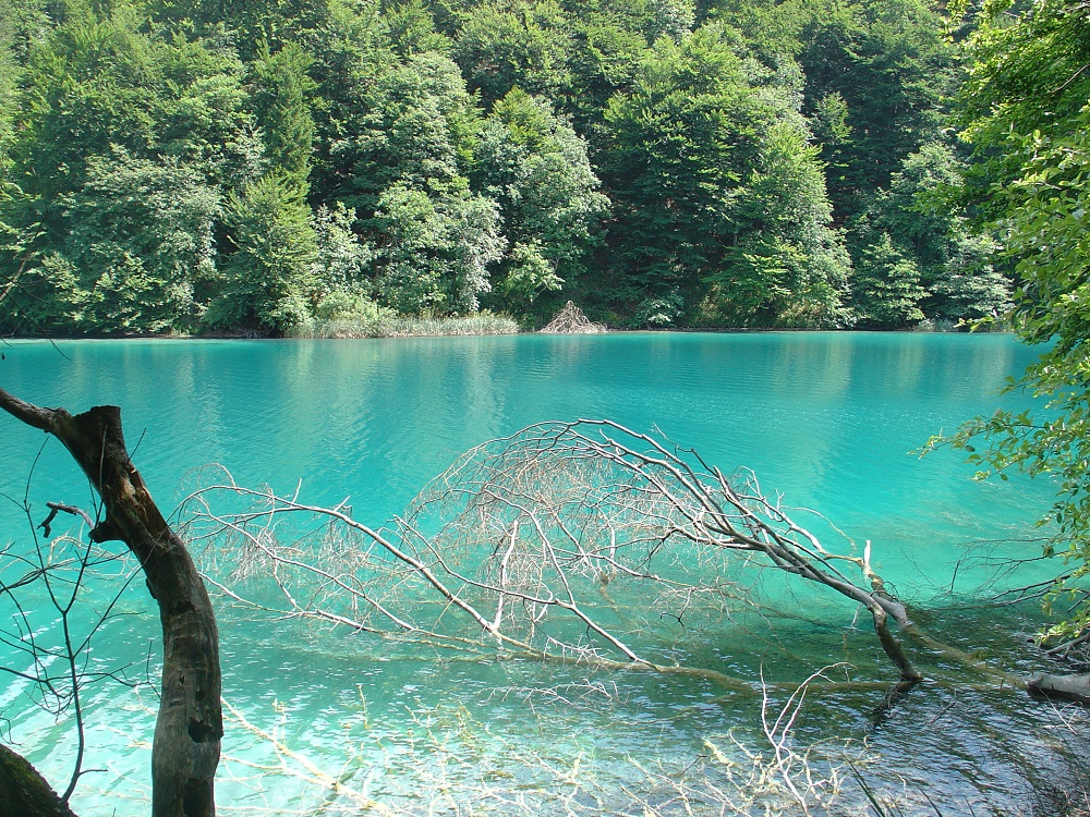 Les lacs calcaires