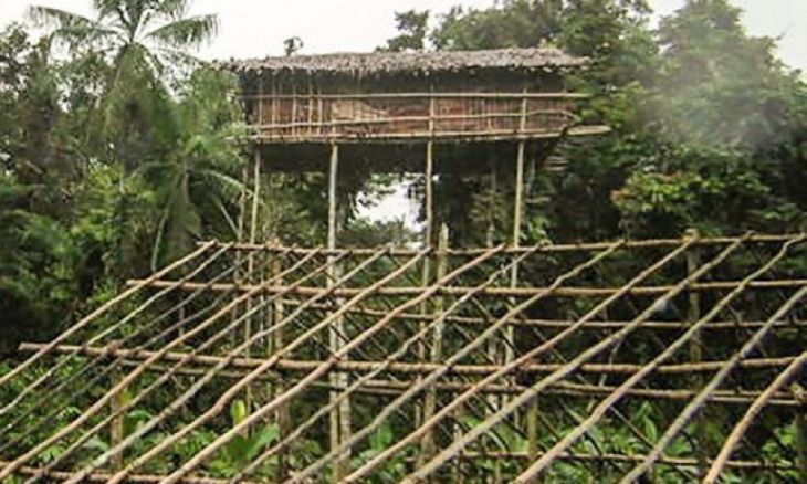 bangalôs em suportes no meio da selva
