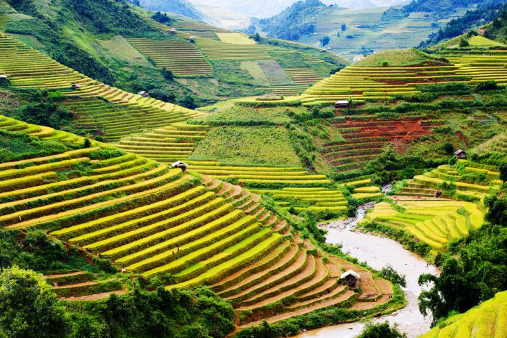 Rijstterrassen van Mù Cang Chải, Vietnam